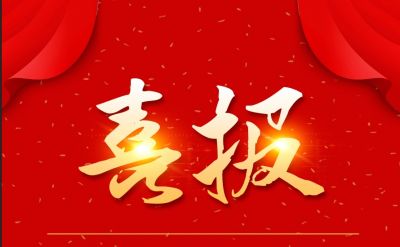 新年新喜报，人生就是搏尊龙医药下属山东人生就是搏尊龙药业喜获三项荣誉